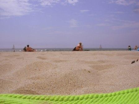 our beach. driftwood tower. venice. photo by s.