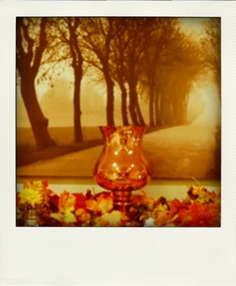 mantle-pola