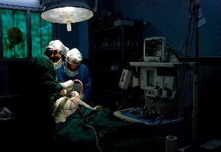 smile train-21 Gina was asked to join Dr. Gupta in surgery