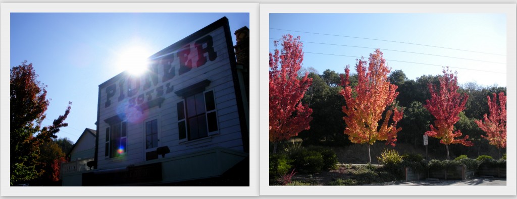 November 20091 {ye olde Pioneer Hotel - Woodside, California}
