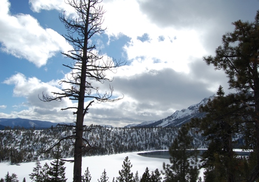 Tahoe 63