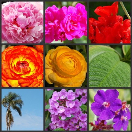 colors2 colors2