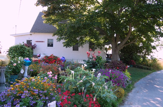 garden 3picknic garden 3picknic