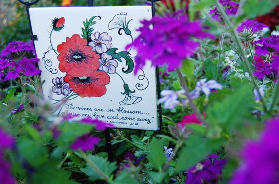 garden 5