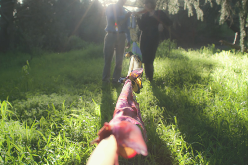 pp-photo-1