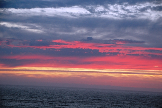 DSC_0781