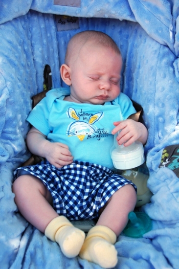 aiden crashed out 2-small